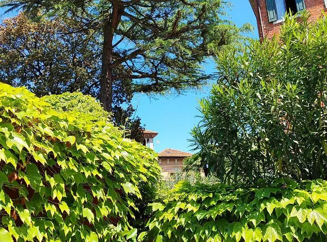 Leo's House With Garden Daire